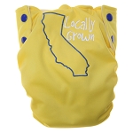 Bottombumpers OS AIO Diaper - Locally Grown with State (Nicki's Diapers Exclusive!)