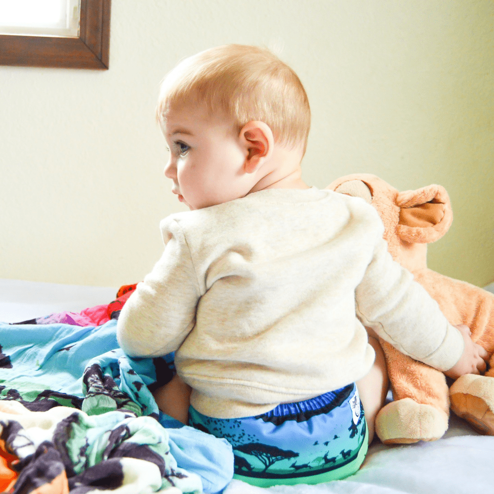 Nicki's Diapers Bamboo Snap All-In-One Diapers