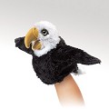 Little Eagle