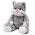 Gray Cat
